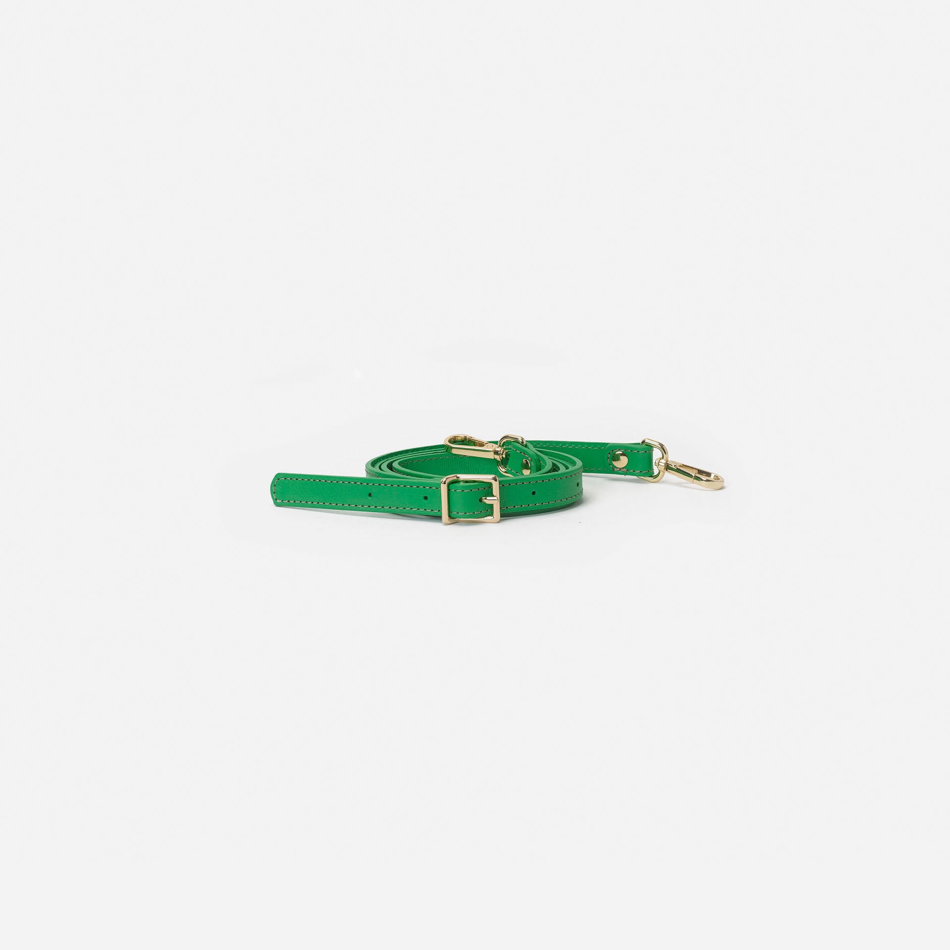 Asa hebilla Apple