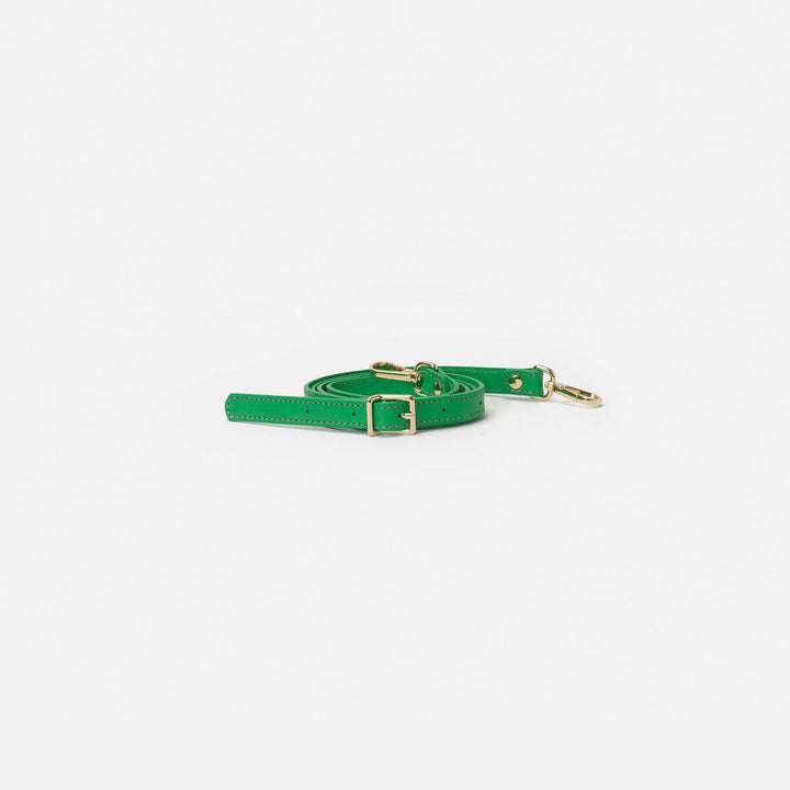 Asa hebilla Apple
