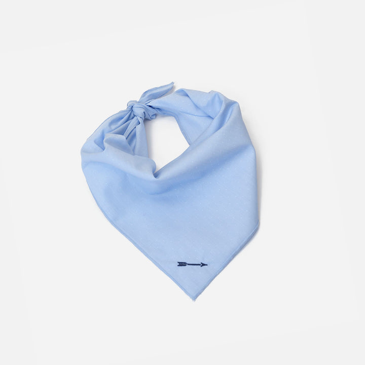 Bandana Azul Plumeti