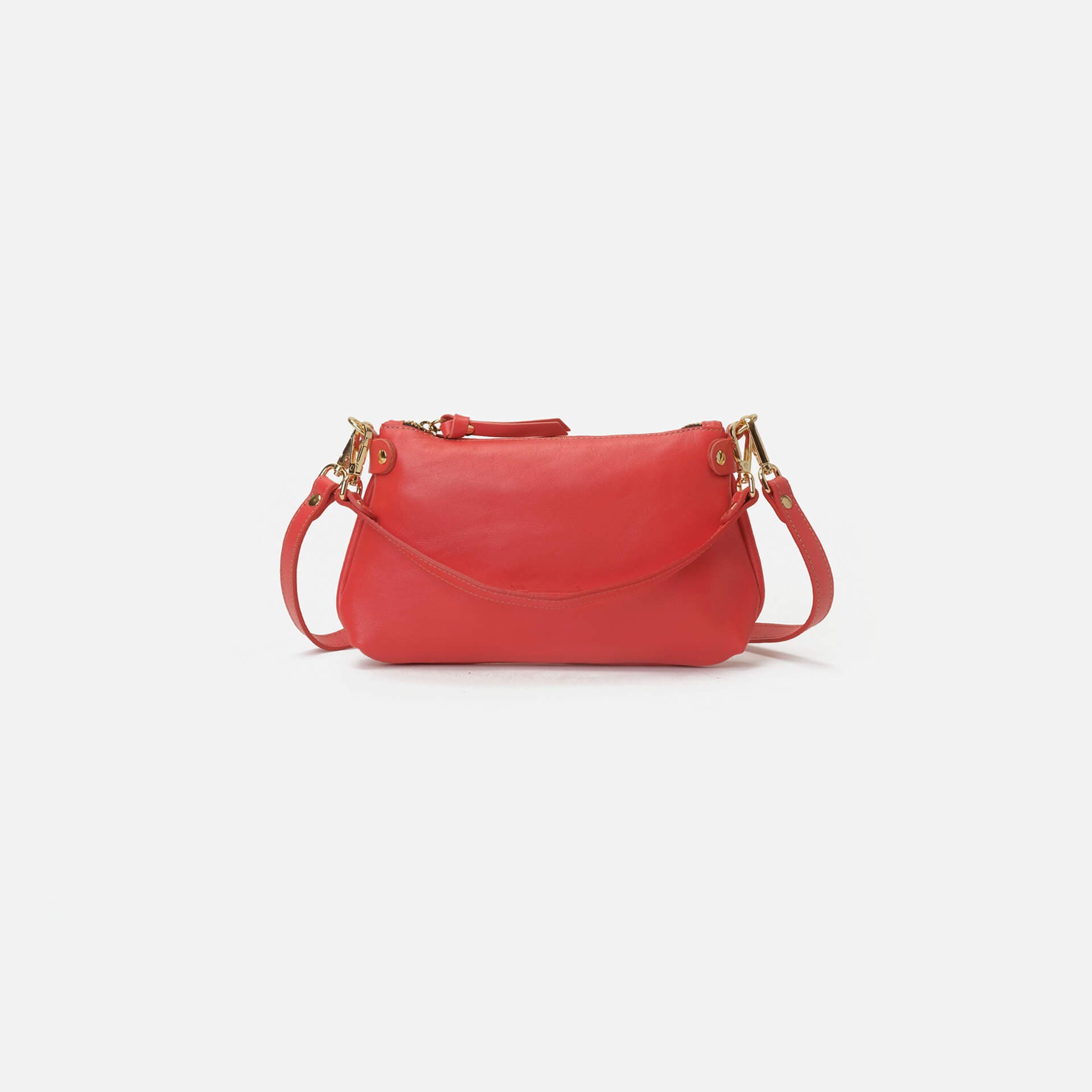 Foxy Coral