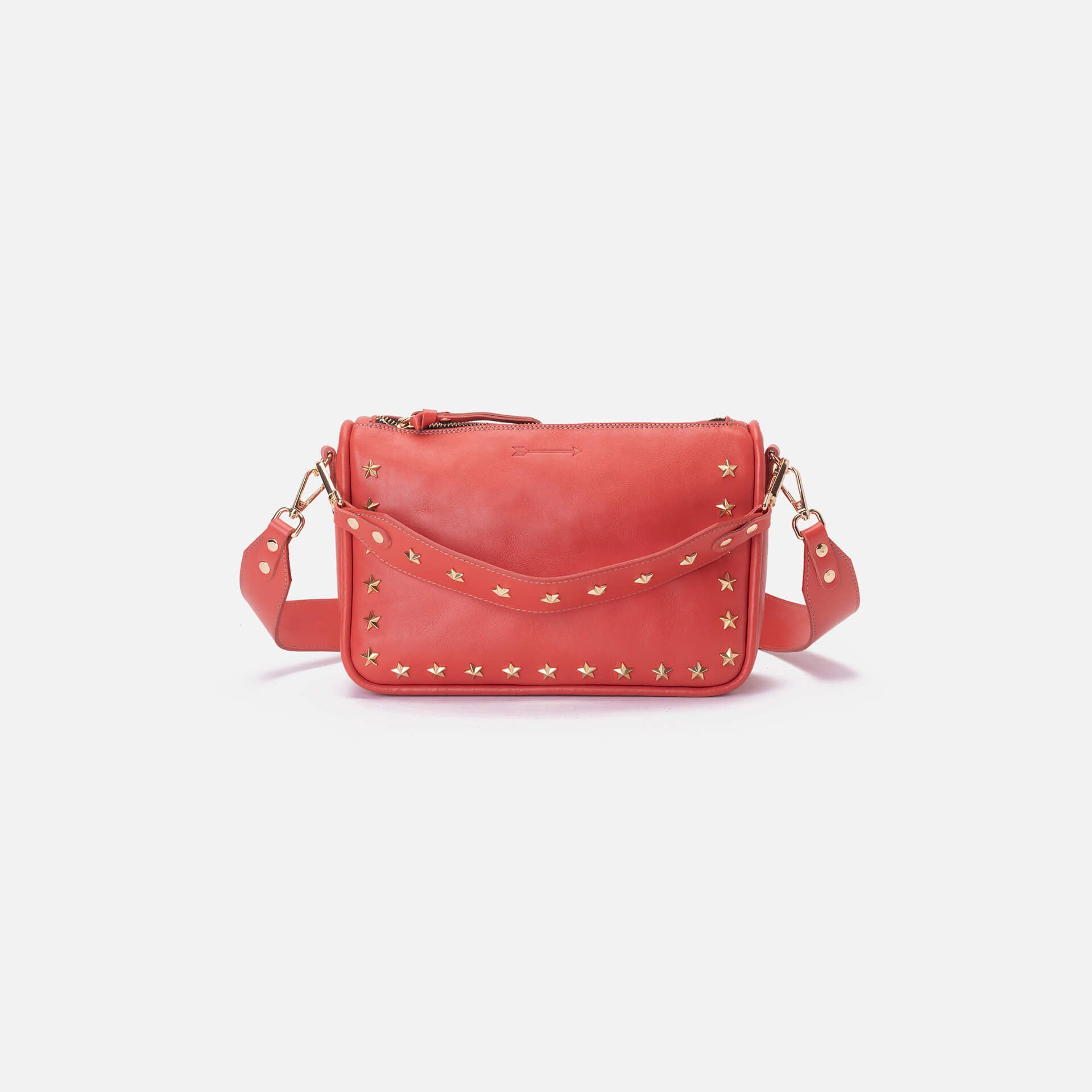 Sandy Stars Coral