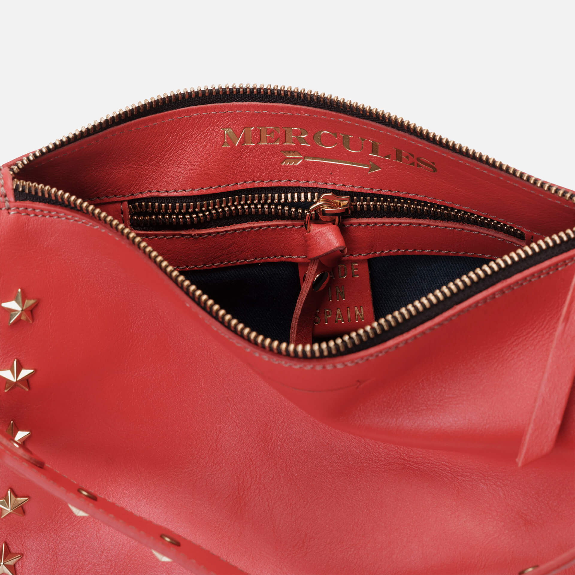 Sandy Stars Coral