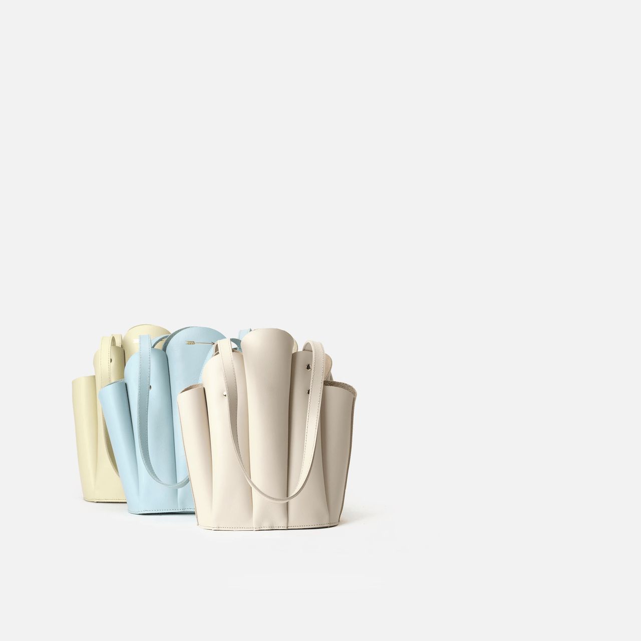 Shell Yeah! Bone